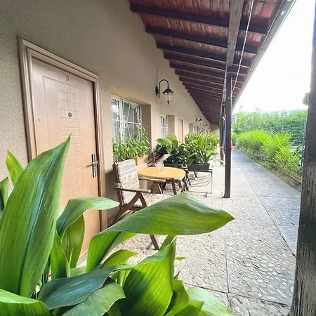 莲花酒店 阳光海滩