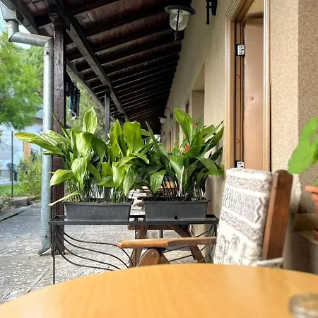 莲花酒店 3* 阳光海滩