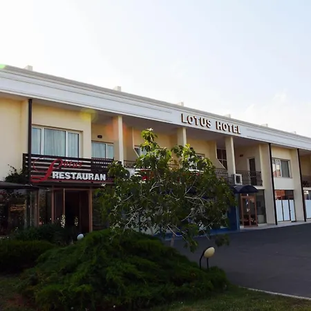 莲花酒店 酒店