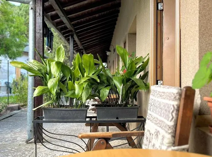 Lotus Family - Free Parking 3* Napospart